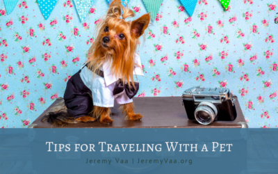 Tips for Traveling with a Pet