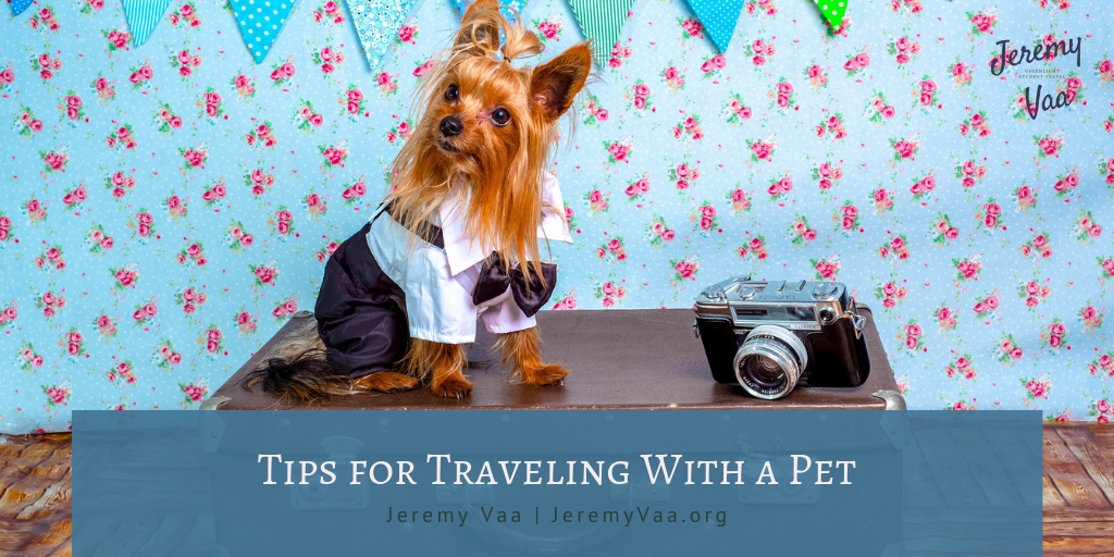 Tips for Traveling with a Pet